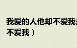 我爱的人他却不爱我是什么歌（我爱的人他却不爱我）