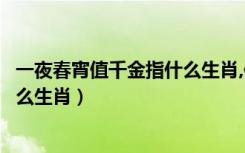 一夜春宵值千金指什么生肖,做解答案（一夜春宵值千金指什么生肖）