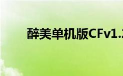 醉美单机版CFv1.2（醉美cf单机版）