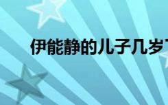 伊能静的儿子几岁了（伊能静的儿子）