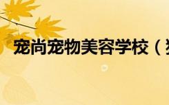宠尚宠物美容学校（狗博士宠物美容学校）