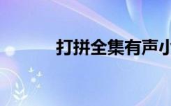 打拼全集有声小说（打拼全集）