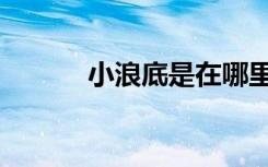小浪底是在哪里（小浪底在哪）