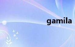 gamila（gamil）