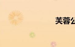 芙蓉公主txt