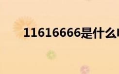 11616666是什么电话（11616666）