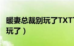 暖妻总裁别玩了TXT下载百度云（暖妻总裁别玩了）