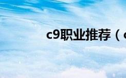 c9职业推荐（c9什么职业好）