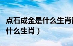 点石成金是什么生肖请大师指点（点石成金是什么生肖）