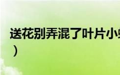 送花别弄混了叶片小蚂蚁庄园（送花别弄混了）