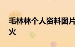 毛林林个人资料图片,为什么毛林林一直都不火