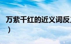 万紫千红的近义词反义词（万紫千红的近义词）