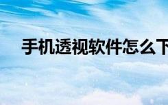 手机透视软件怎么下载（手机透视软件）