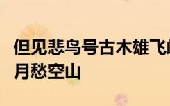 但见悲鸟号古木雄飞雌从绕林间又闻子规啼夜月愁空山