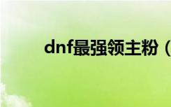 dnf最强领主粉（dnf领主粉爆率）