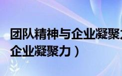 团队精神与企业凝聚力参考文献（团队精神与企业凝聚力）