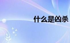 什么是凶杀（窥凶杀人）