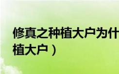 修真之种植大户为什么不更新了?（修真之种植大户）