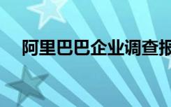 阿里巴巴企业调查报告（企业调查报告）