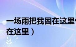 一场雨把我困在这里什么意思（一场雨把我困在这里）