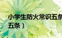 小学生防火常识五条wan（小学生防火常识五条）