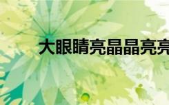 大眼睛亮晶晶亮亮看海（亮亮看海）