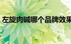 左旋肉碱哪个品牌效果好（挺靓牌左旋肉碱）
