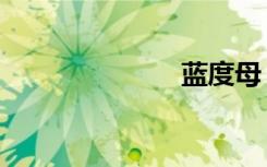 蓝度母（蓝度）