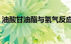 油酸甘油酯与氢气反应方程式（油酸甘油酯）