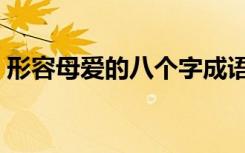 形容母爱的八个字成语（形容母爱的八个字）