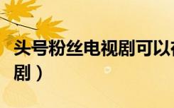 头号粉丝电视剧可以在哪里看（头号粉丝电视剧）