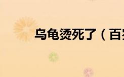 乌龟烫死了（百岁龟遭开水烫死）