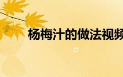 杨梅汁的做法视频（杨梅汁的做法）