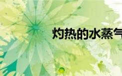 灼热的水蒸气（炙热蒸汽）