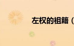 左权的祖籍（左权的后代）