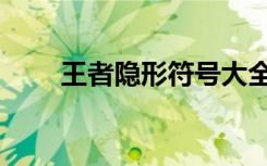 王者隐形符号大全（王者隐形符号）