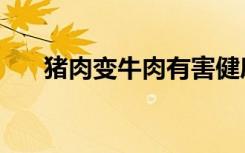 猪肉变牛肉有害健康吗（猪肉变牛肉）