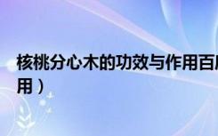 核桃分心木的功效与作用百度百科（核桃分心木的功效与作用）