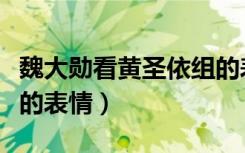 魏大勋看黄圣依组的表情（魏大勋看黄圣依组的表情）