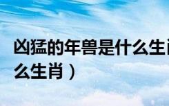 凶猛的年兽是什么生肖动物（凶猛的年兽是什么生肖）