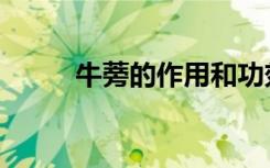 牛蒡的作用和功效（牛蒡的作用）