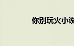 你别玩火小说（你别玩火）