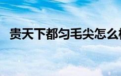 贵天下都匀毛尖怎么样（贵天下都匀毛尖）