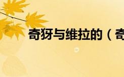 奇犽与维拉的（奇牙与维拉的情史）
