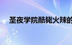 圣夜学院酷毙火辣的小学生（圣夜学院）