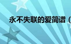 永不失联的爱简谱（永不失联的爱歌词）