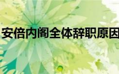安倍内阁全体辞职原因（安倍内阁 辞职原因）