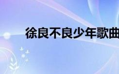 徐良不良少年歌曲（不良少年 徐良）