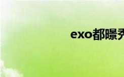 exo都暻秀（e x o）