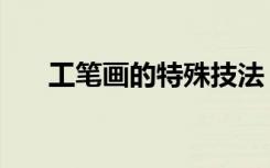 工笔画的特殊技法（工笔画特殊技法）